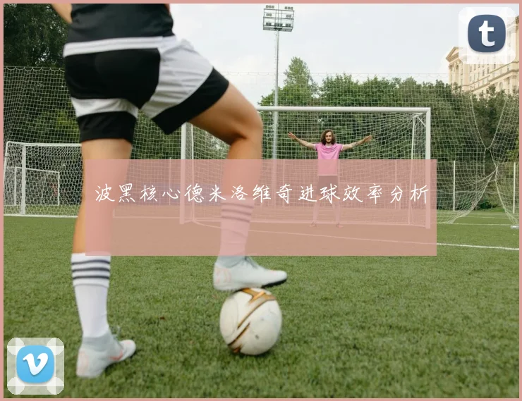 波黑核心德米洛维奇进球效率分析