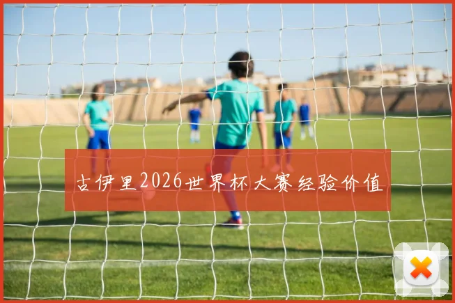 古伊里2026世界杯大赛经验价值