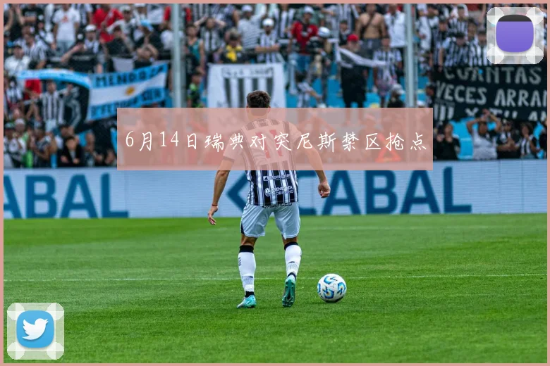 6月14日瑞典对突尼斯禁区抢点