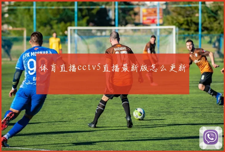 体育直播cctv5直播最新版怎么更新
