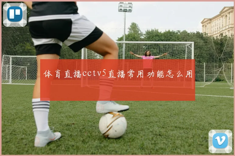 体育直播cctv5直播常用功能怎么用