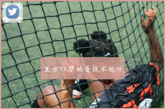 里尔vs摩纳哥技术统计